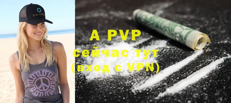 A-PVP СК КРИС  Козельск 